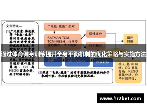 通过体育健身训练提升全身平衡机制的优化策略与实施方法